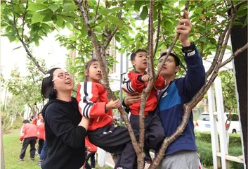 “小果实，大学问”