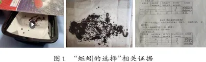 “生物与环境”单元学生深度研讨教学路径