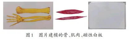 基于类比推理的模型建构教学实践