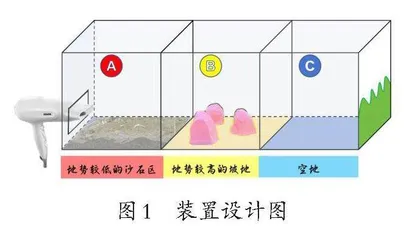 风对地貌的作用探究模型