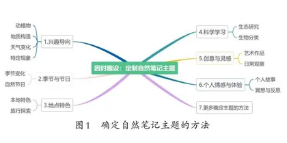 自然笔记开启奇趣探索旅程 