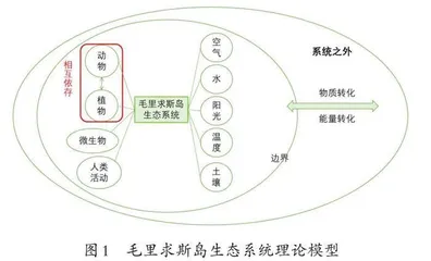 指向“系统与模型”的校本课程设计