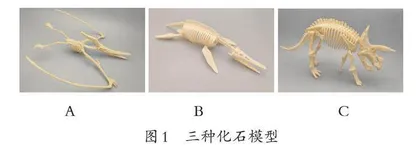 跨学科概念视域下的课堂教学实践 
