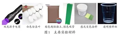“叶子与光的秘密”实验优化 