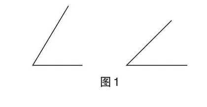 关注实操活动 发展核心素养