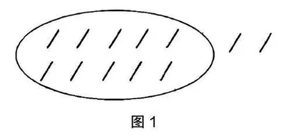 在实践操作中生成课堂智慧