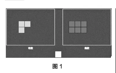 浅谈基于信息技术的小学数学探究型学习