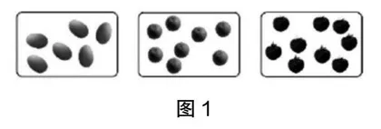 关注概念的“精致”过程，培养学生的核心素养