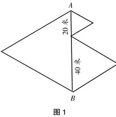 提升小学数学学习“表达力”的实践与探索