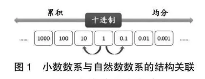 开展大单元教学 促进大概念发展