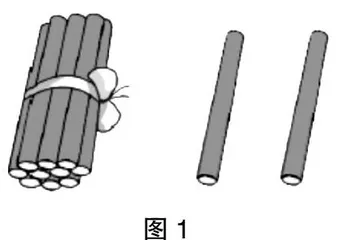 基于操作经验：建构数概念，发展数感官