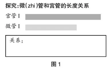 中华优秀传统文化背景下小学数学微课程的实践探索