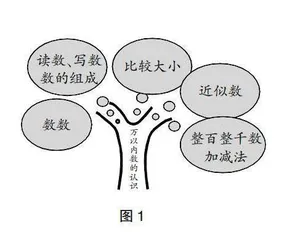 浅析整体思想在小学数学教学中的应用