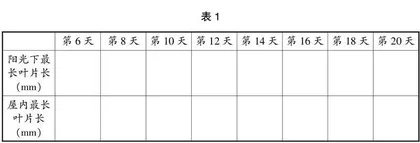 “双减”背景下小学数学作业生活化的管理研究