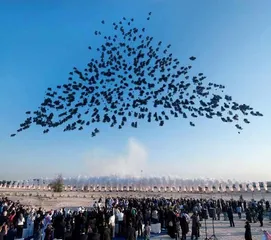 烟花大师蔡国强:全中国最会玩火的男人1