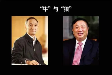 任正非的老对手,杀回来了!4