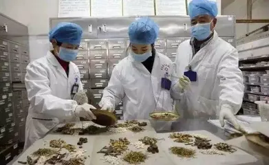 大疫出良方,中医药成为治疗新冠肺炎的特效药4