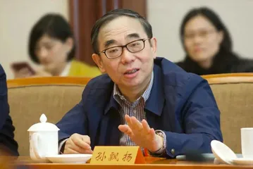 昔日江苏首富,站在十字路口2