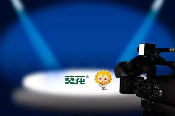 东北药王浮沉史:有人破产,有人入狱2
