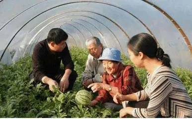92岁最牛“瓜奶奶”:扎根新疆62年,她发誓让中国人“吃瓜自由”1