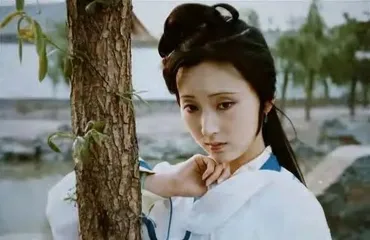 《红楼梦》播出35周年,我们需要怎样的经典2