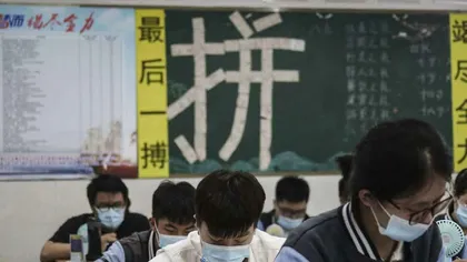 对小镇做题家的嘲讽是新时代的读书无用论