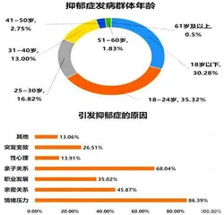 浅谈IT技术加持下的初中英语教学