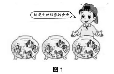 试析如何开展有效的数学计算教学