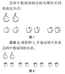 让学生拥有丰富的数学活动经验 
