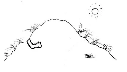 感受特点 学习观察 