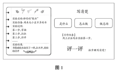 核心素养导向下的思维写作课堂