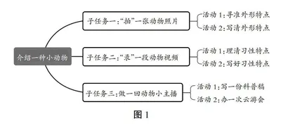 介绍一种小动物