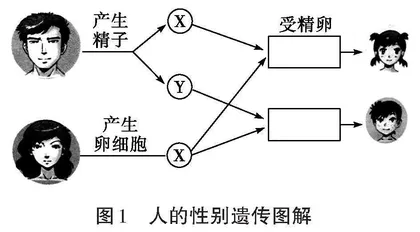 课程思政融入初中生物学的课例分析