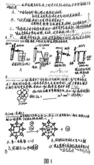 新高考背景下高三化学学困生提分策略探究