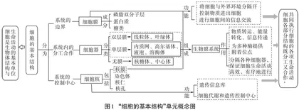 大单元视域下高中生物学教学设计