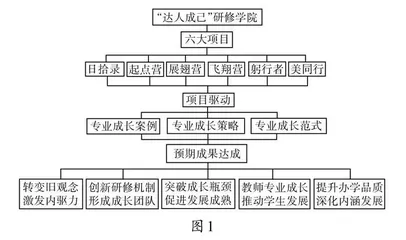 项目驱动初中教师专业成长的实践探究