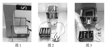 强化物理生活化实验 落实学生核心素养培育  