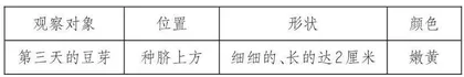 指向思维能力发展的学习任务设计
