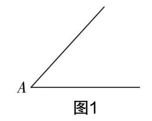 构建整体教学  致力思维生长