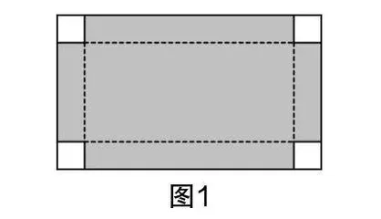关注过程  聚焦素养  提升品质
