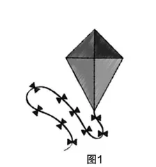 经历探究过程 提高教学效益