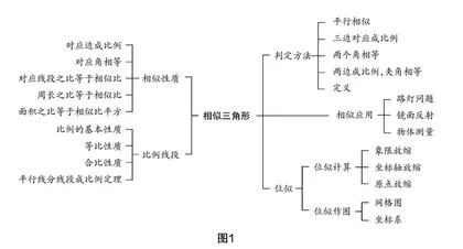 基于“分类思想”发展的初中数学教学研究