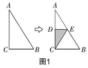 聚焦内容探索主线，实践探究教学感悟