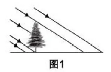 在情境中发现，在发现中感悟，在感悟中探究