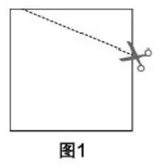 在数学体验中发展学生的逻辑思维