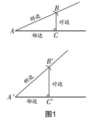坚持生本，经历探索，深化概念理解