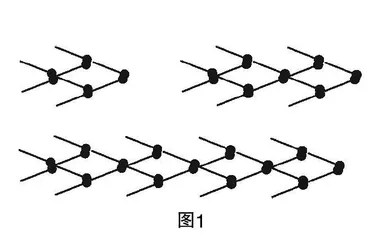 智性对话：初中数学“学的课堂”实践研究