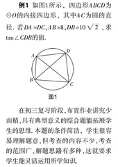 初中数学作业存在的问题及应对措施
