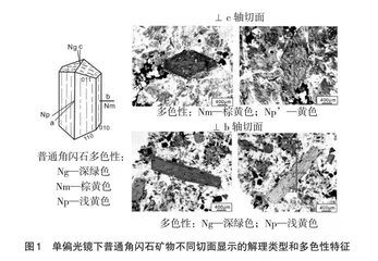论虚拟现实技术在“晶体光学”教学中的应用