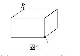 丰富作业类型，促进能力提升